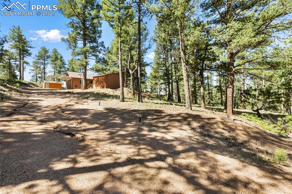 234 Wahsatch Road Florissant, CO 80816 - Photo 37 of 44 a view of road with large trees