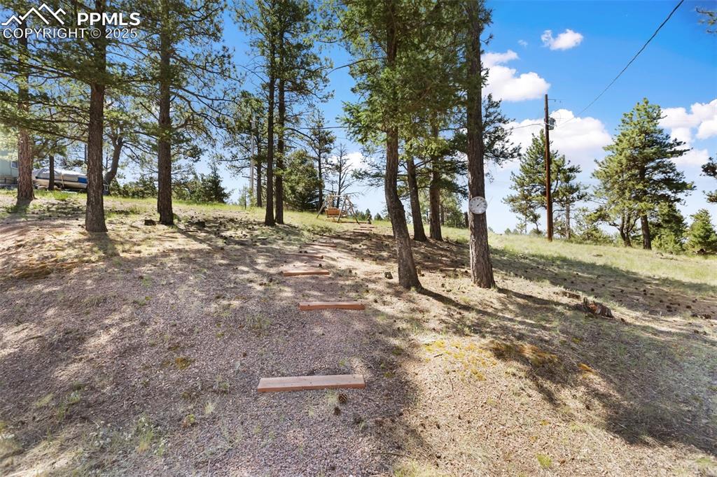 234 Wahsatch Road Florissant, CO 80816 - Photo 38 of 44 a view of a yard with a tree