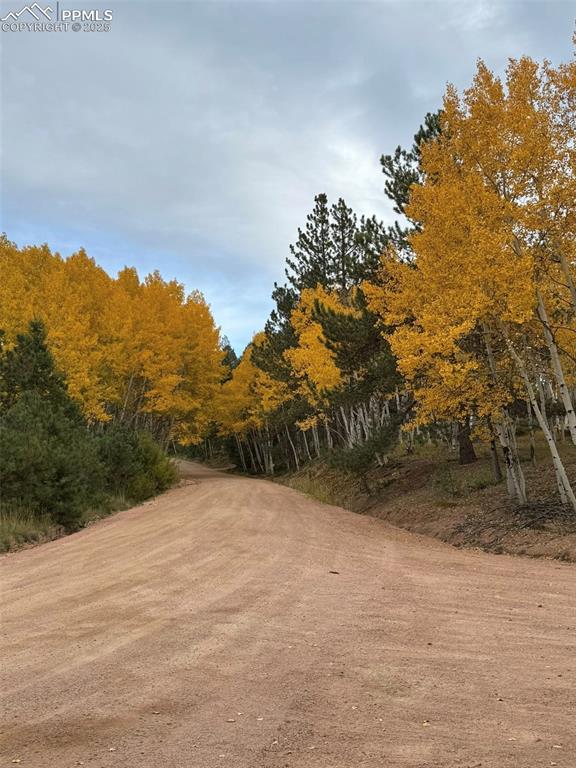 234 Wahsatch Road Florissant, CO 80816 - Photo 44 of 44 a view of a dry yard