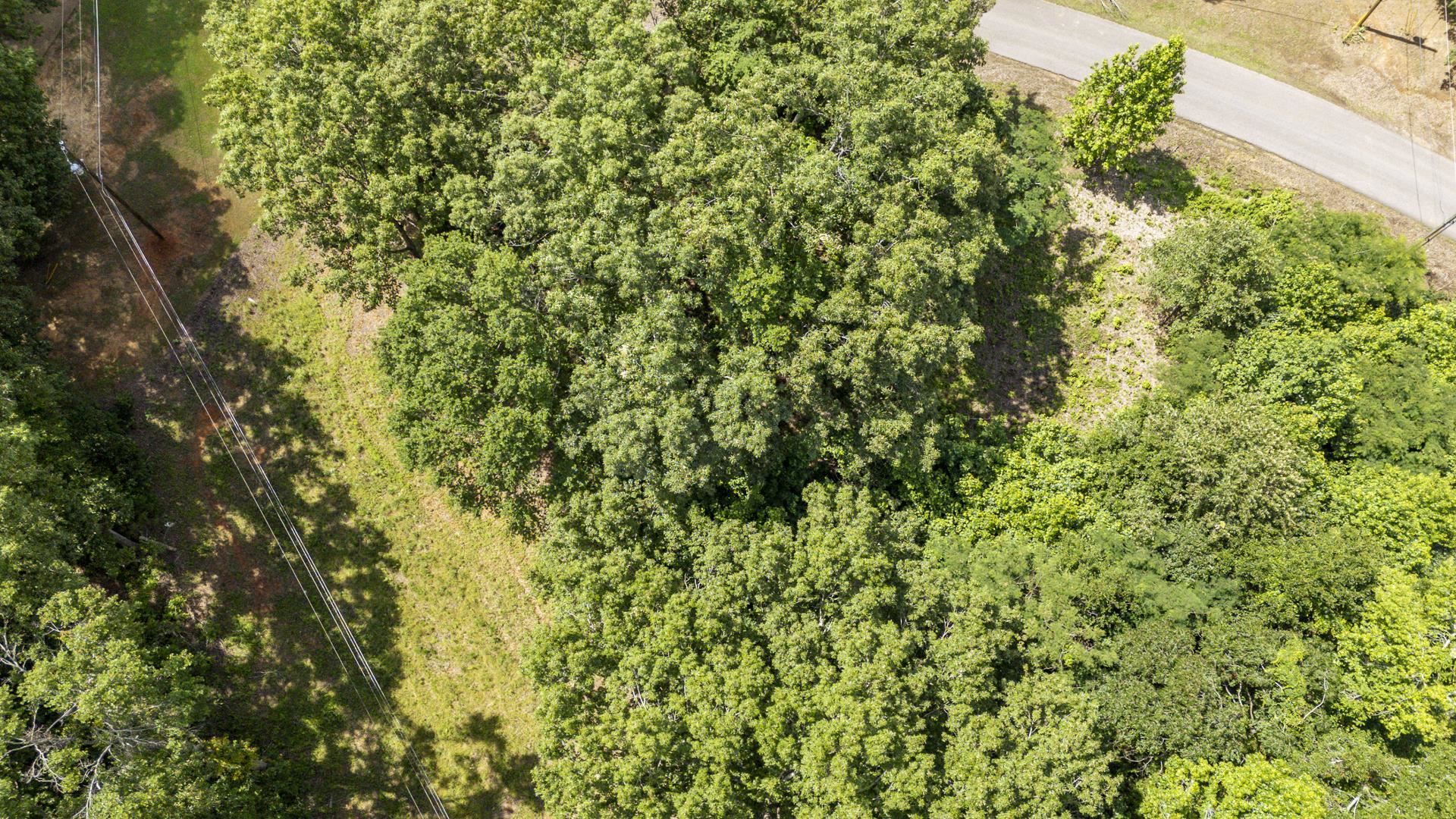 Xxx Oak Grove Road Savannah, TN 38372 - Photo 13 of 29