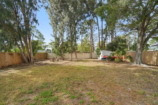a view of a tree in the middle of a yard
