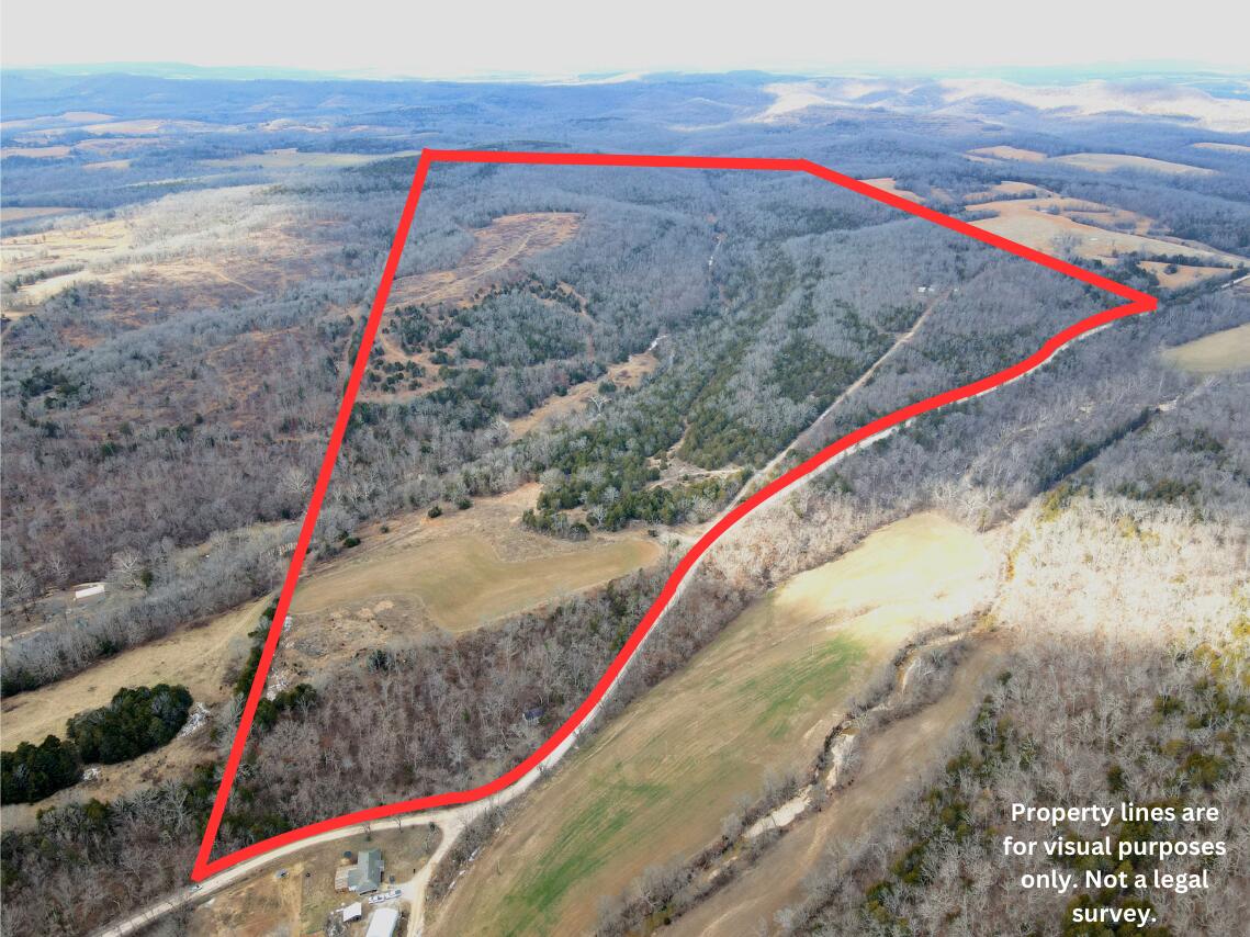 361 Hickory Flats Road Ava, MO 65608 - Photo 46 of 47 Ava 265 acs Hickory flats plat lines