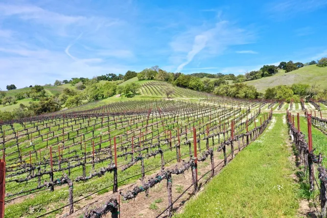 $13,900,000 | 25500 River Road, Cloverdale, CA 95425