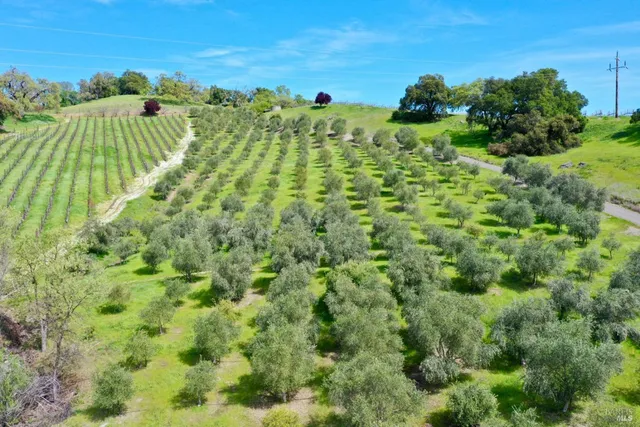 $13,900,000 | 25500 River Road, Cloverdale, CA 95425