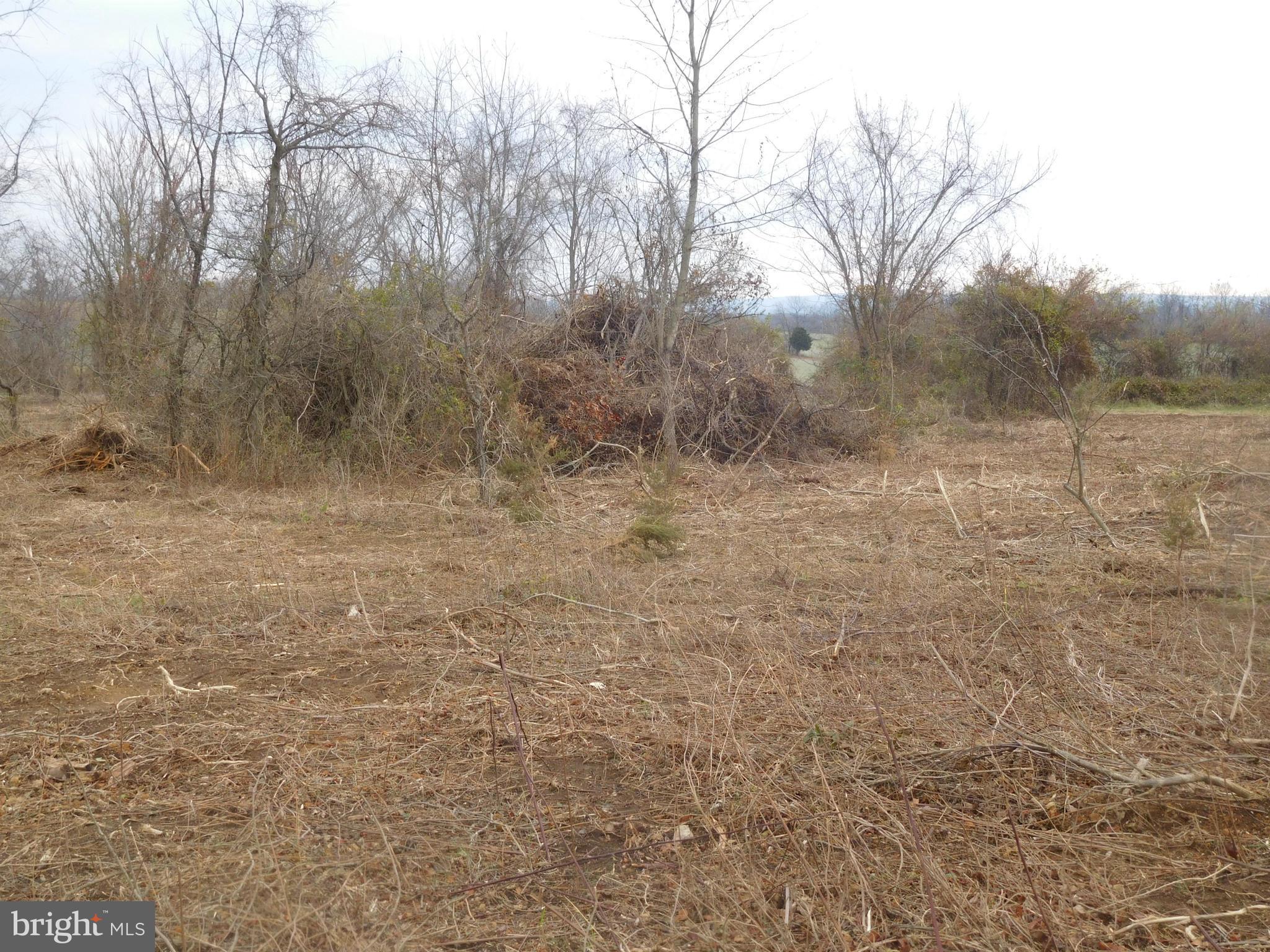 0 Carters Line Road White Post, VA 22663 - Photo 14 of 29 Exterior (General)