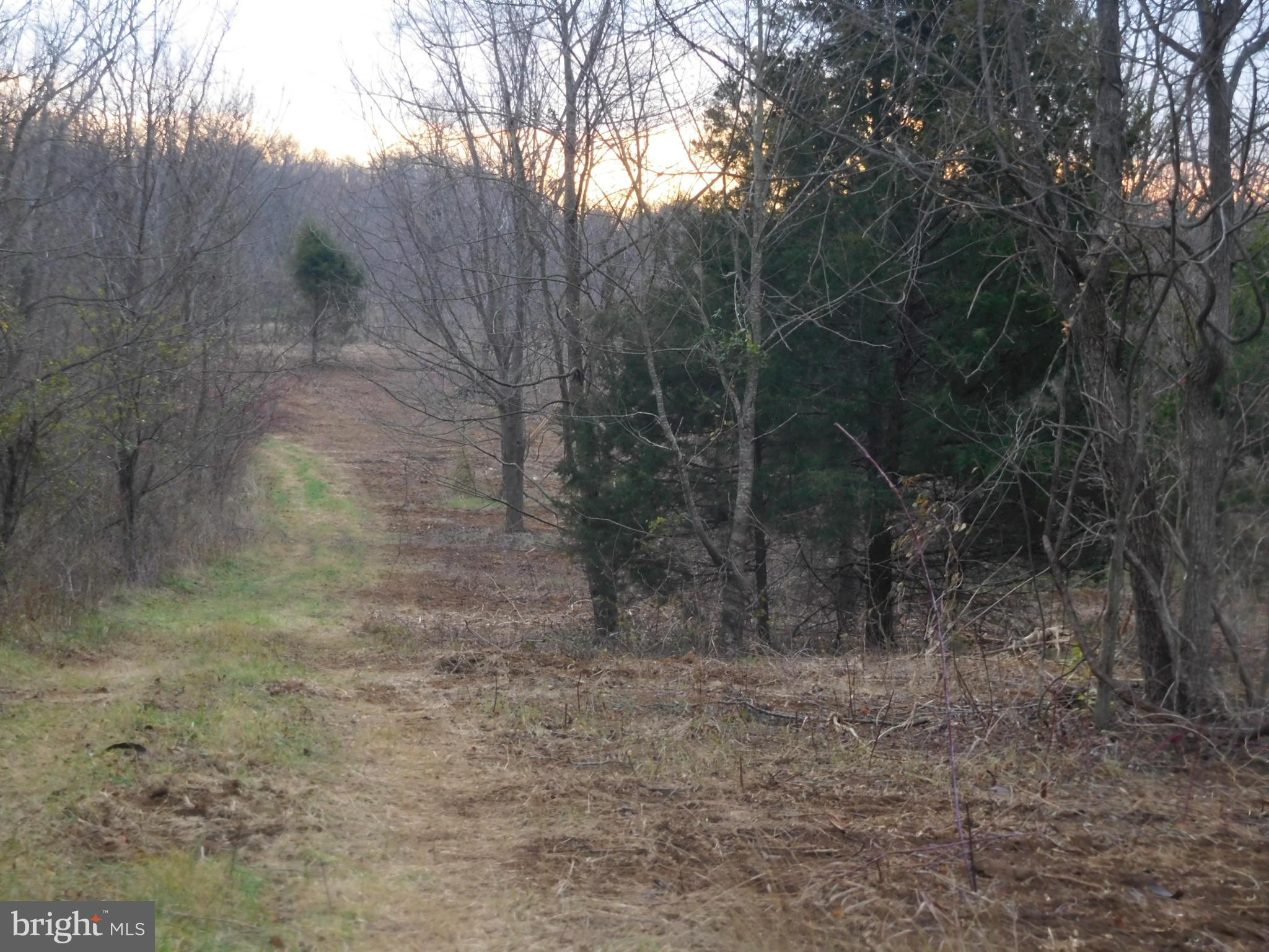 0 Carters Line Road White Post, VA 22663 - Photo 22 of 29 Exterior (General)