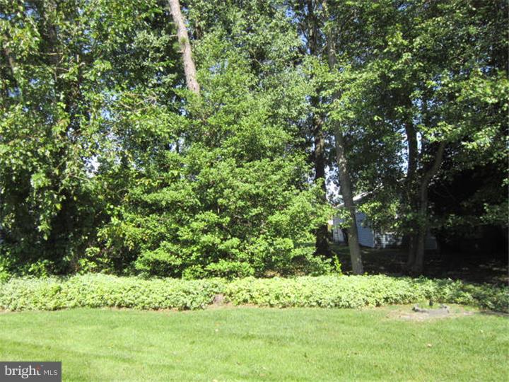 6 Mayfair Road Southampton, NJ 08088 - Photo 13 of 13 Back Yard