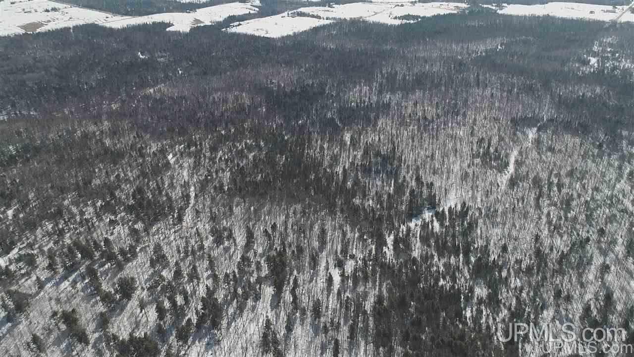 240-acres Leek Road Covington, MI 49919 - Photo 41 of 50