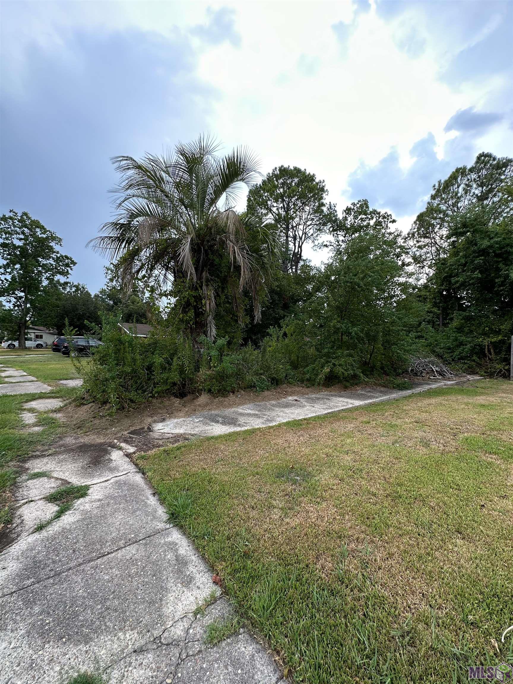 6721 Silverleaf Avenue Baton Rouge, LA 70812 - Photo 4 of 4 Gallery Image 4