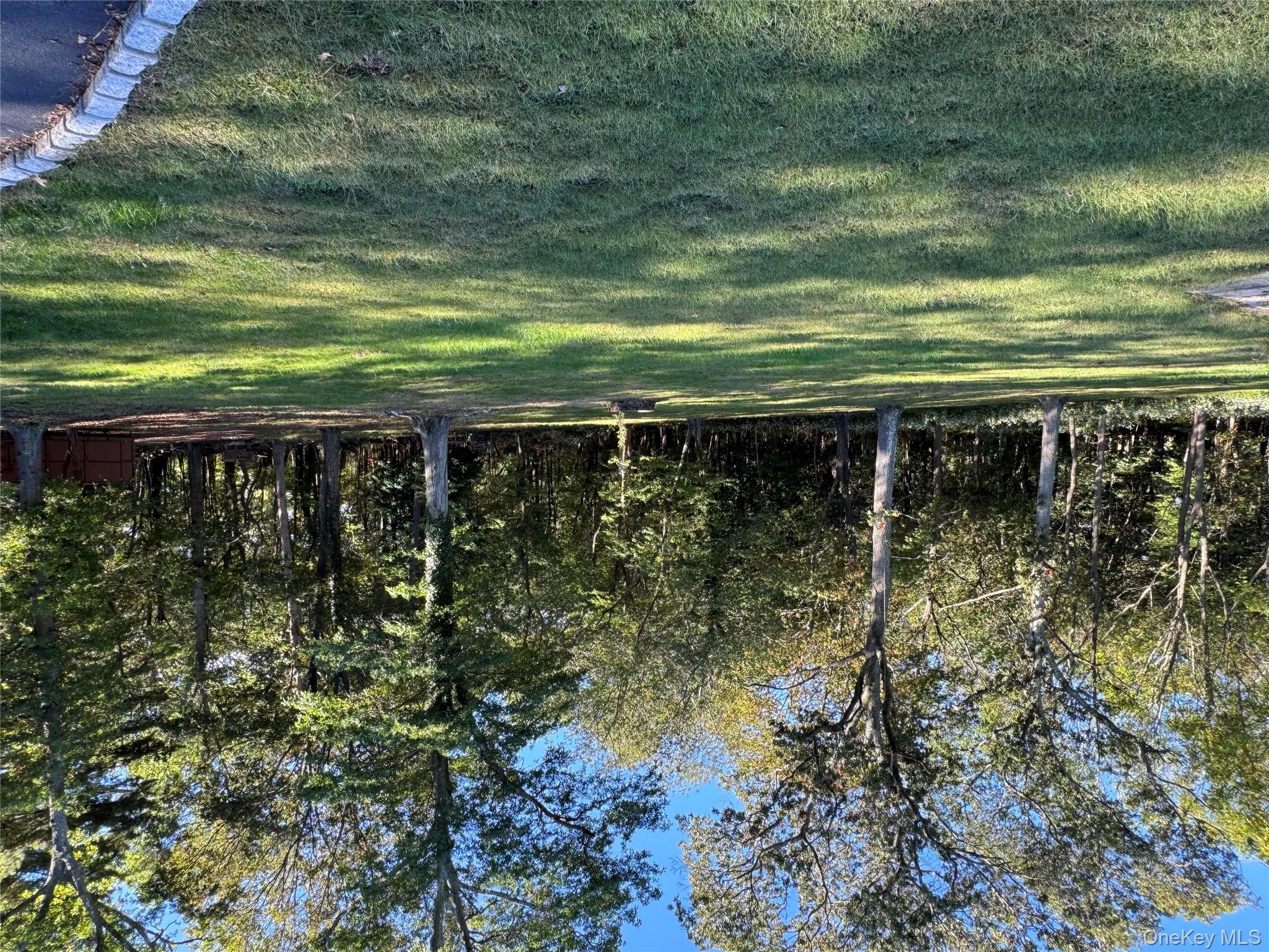 33 Mount Sinai-Coram Road Coram, NY 11727 - Photo 2 of 5 View of green lawn