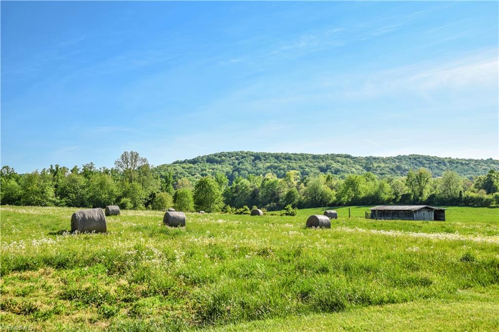 5809 Clingman Road Hamptonville, NC 27020 - Photo 5 of 22 The Northwestern view! Gorgeous!