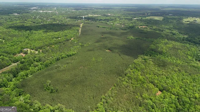 a view of a green field with lots of green space