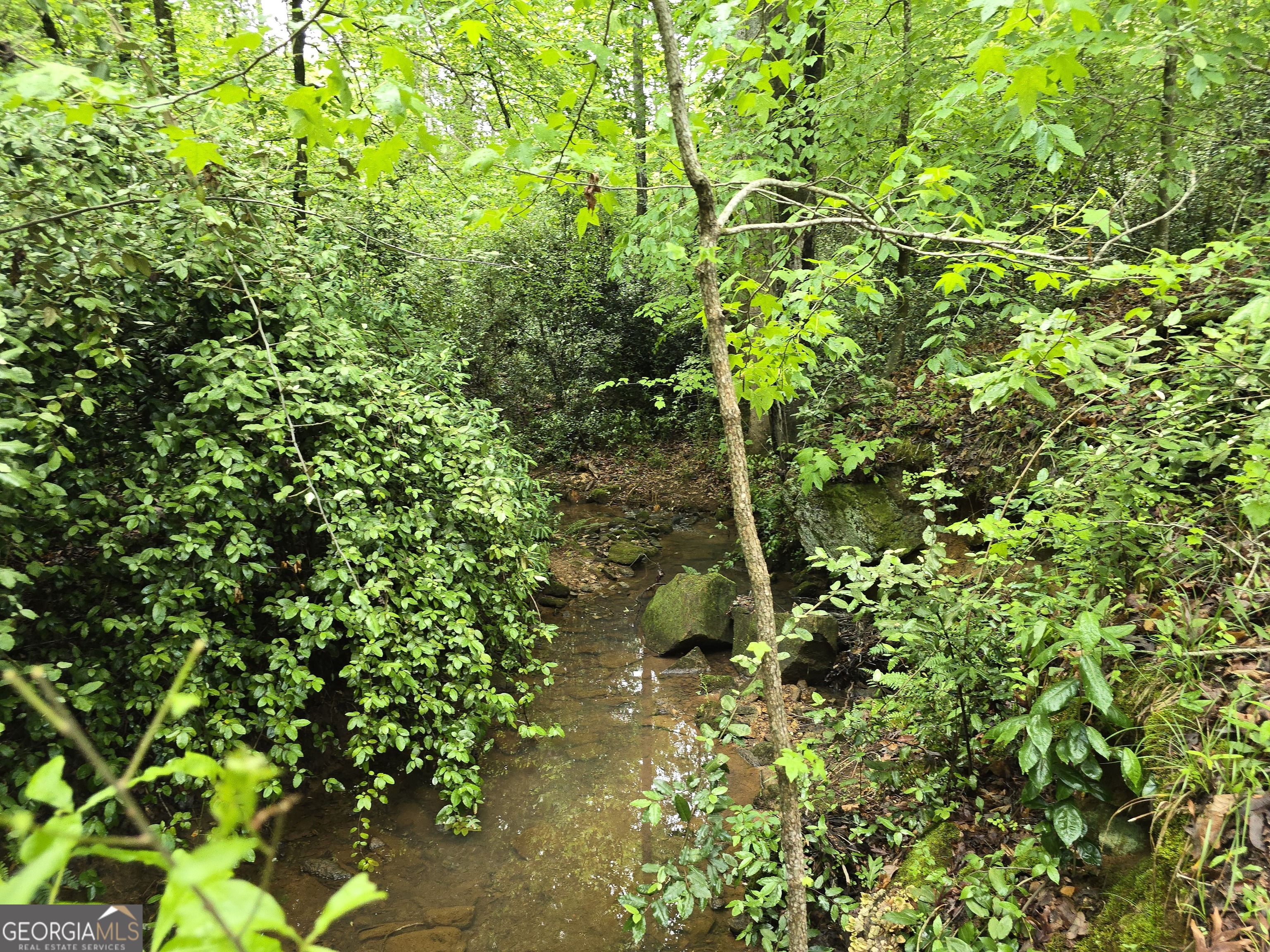 0 Davis Lake Road Thomaston, GA 30286 - Photo 12 of 37