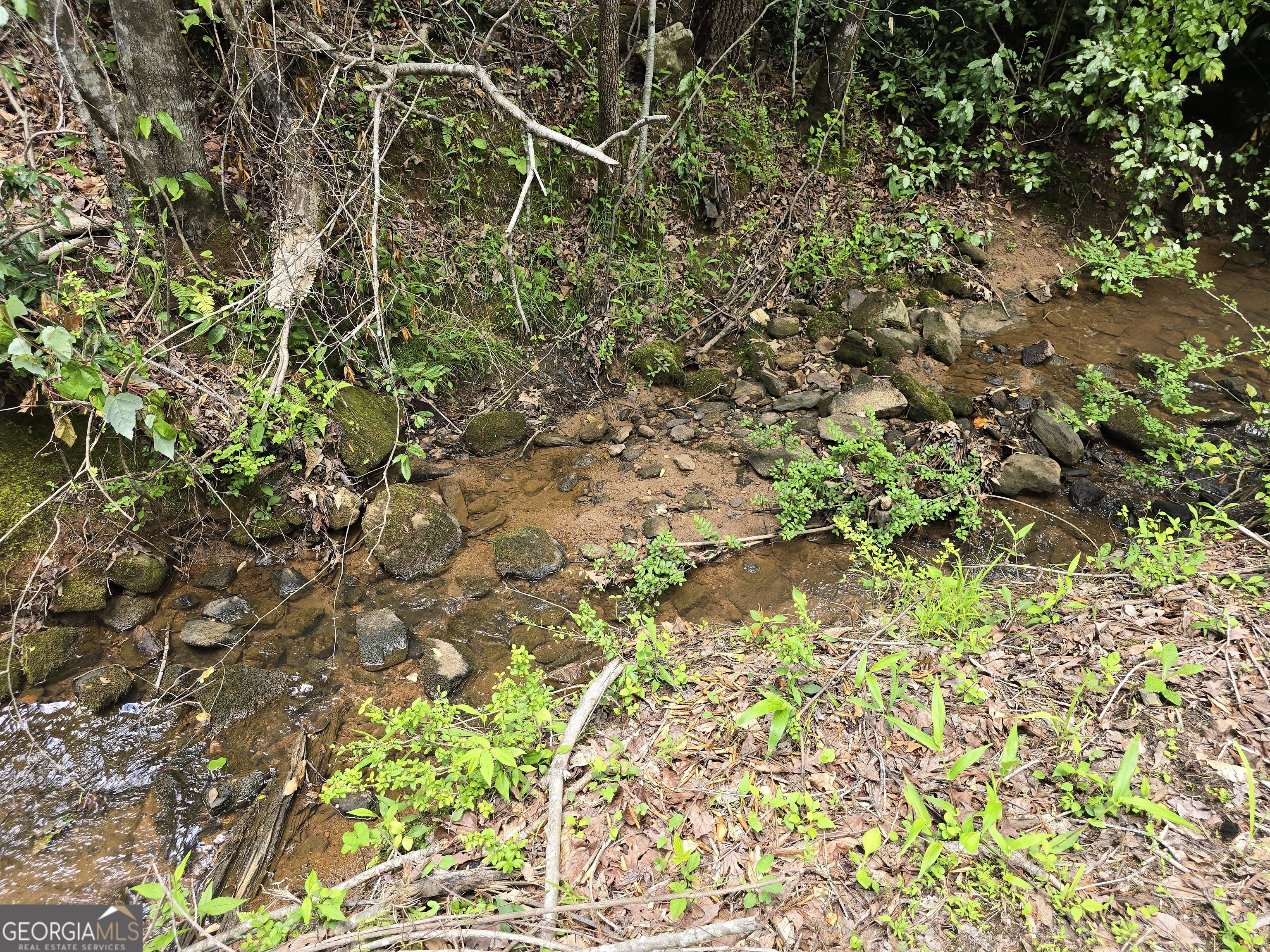 0 Davis Lake Road Thomaston, GA 30286 - Photo 13 of 37 a view of a tree