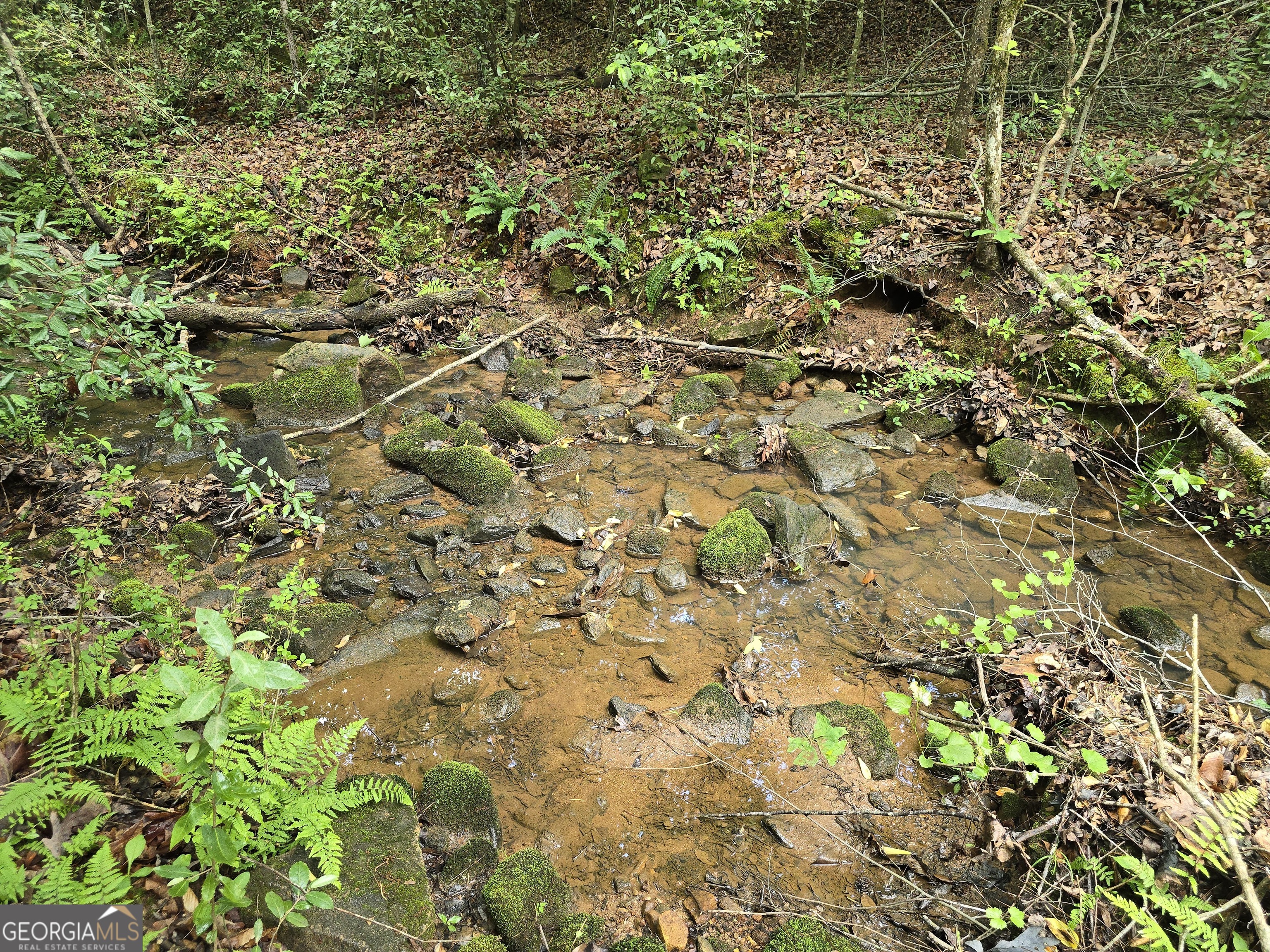 0 Davis Lake Road Thomaston, GA 30286 - Photo 14 of 37 a view of a yard