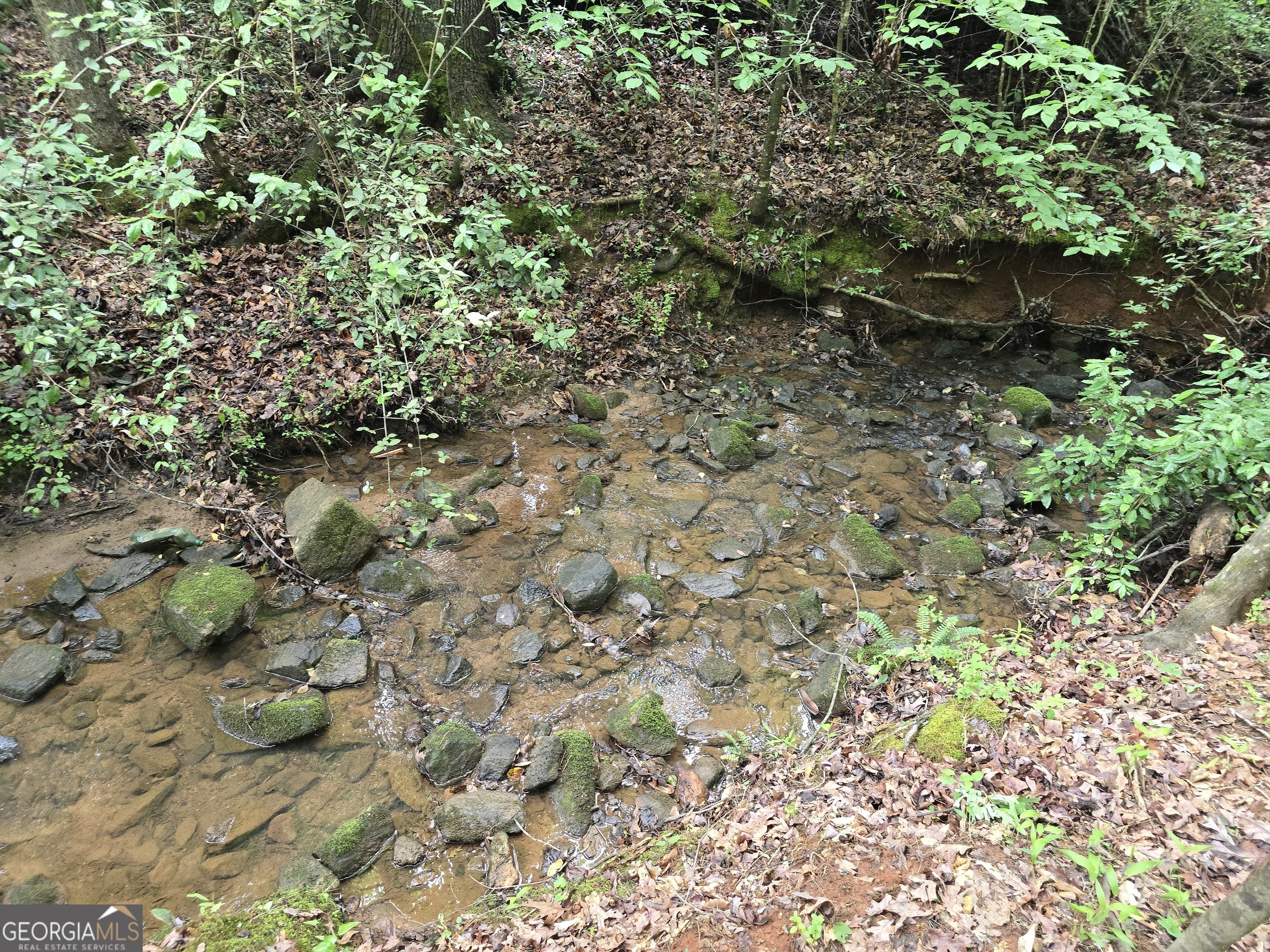 0 Davis Lake Road Thomaston, GA 30286 - Photo 15 of 37 a view of a plants of a tree