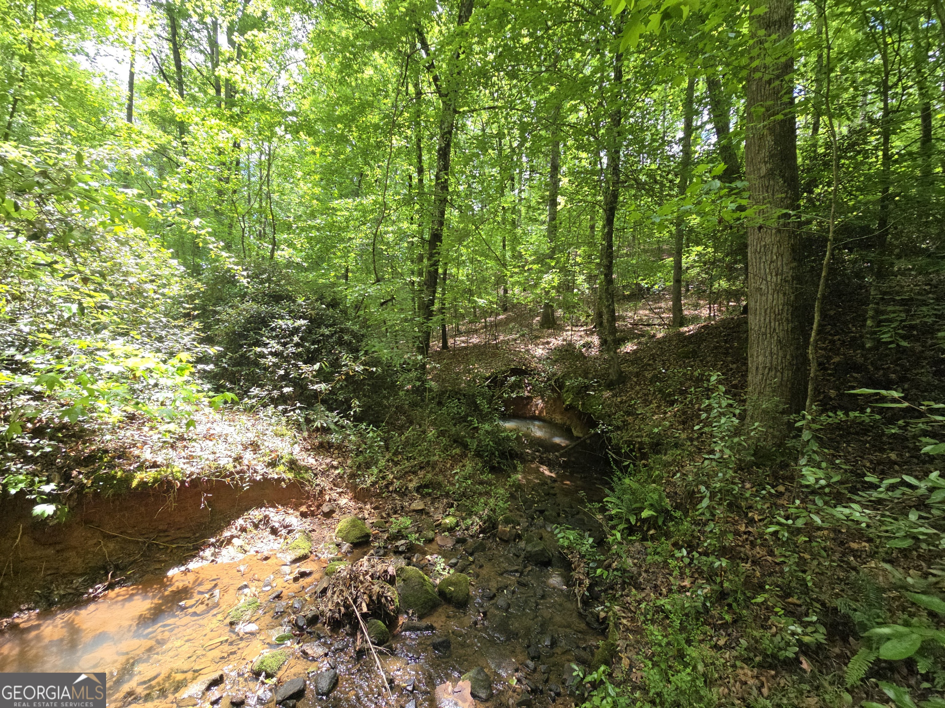 0 Davis Lake Road Thomaston, GA 30286 - Photo 16 of 37 a view of a forest