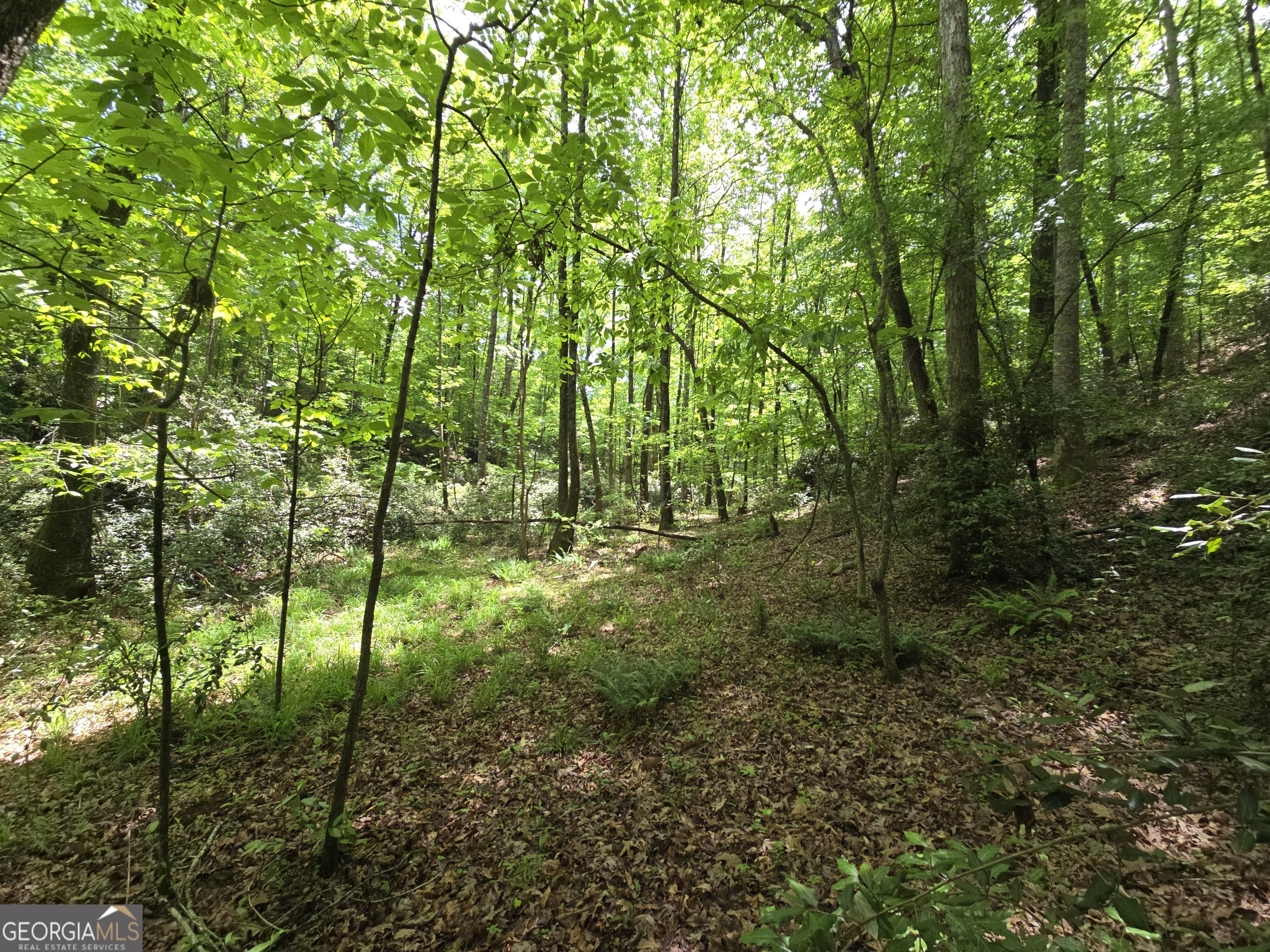 0 Davis Lake Road Thomaston, GA 30286 - Photo 19 of 37 a view of outdoor space and trees