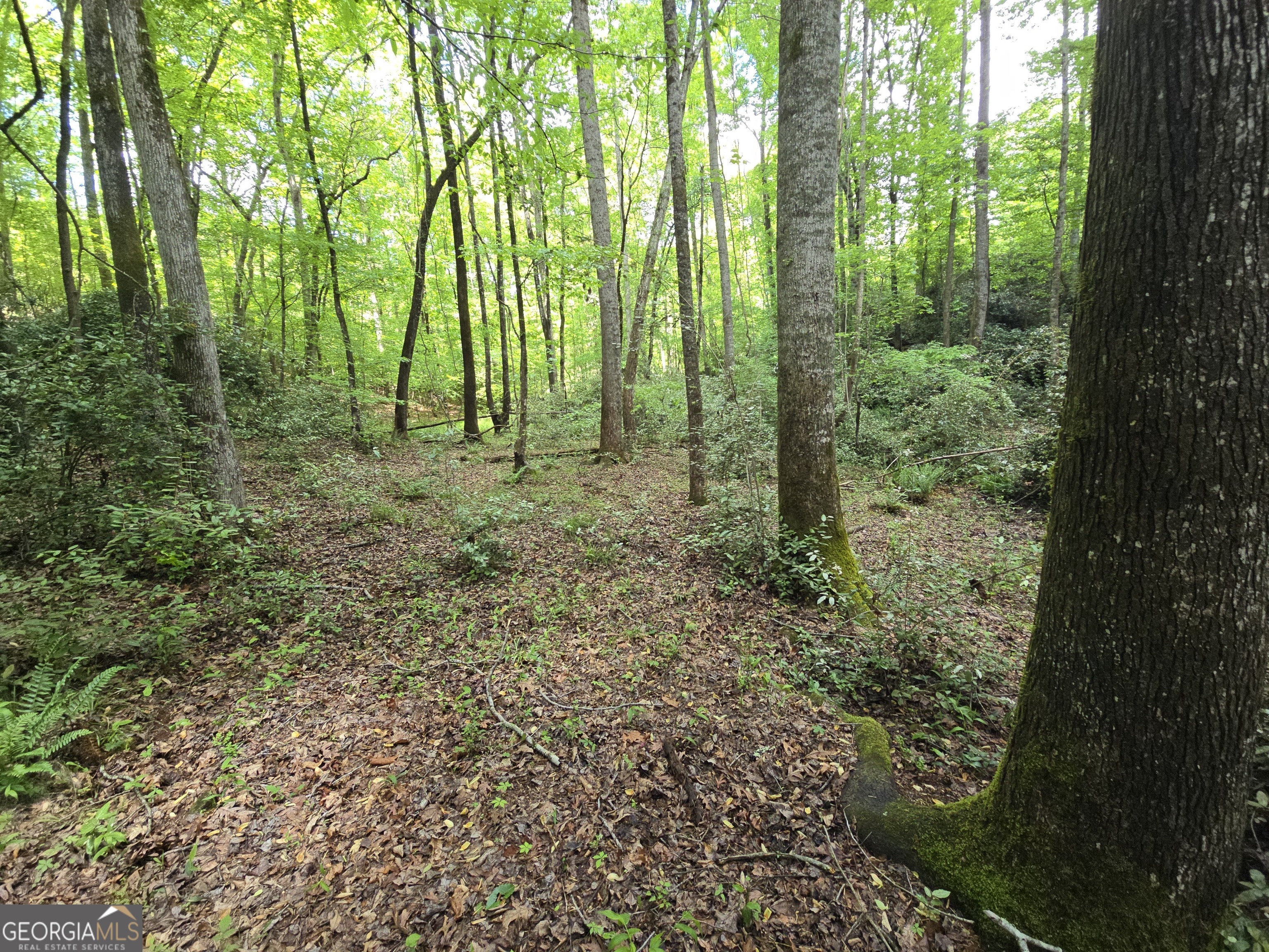 0 Davis Lake Road Thomaston, GA 30286 - Photo 21 of 37 a view of outdoor space and green space
