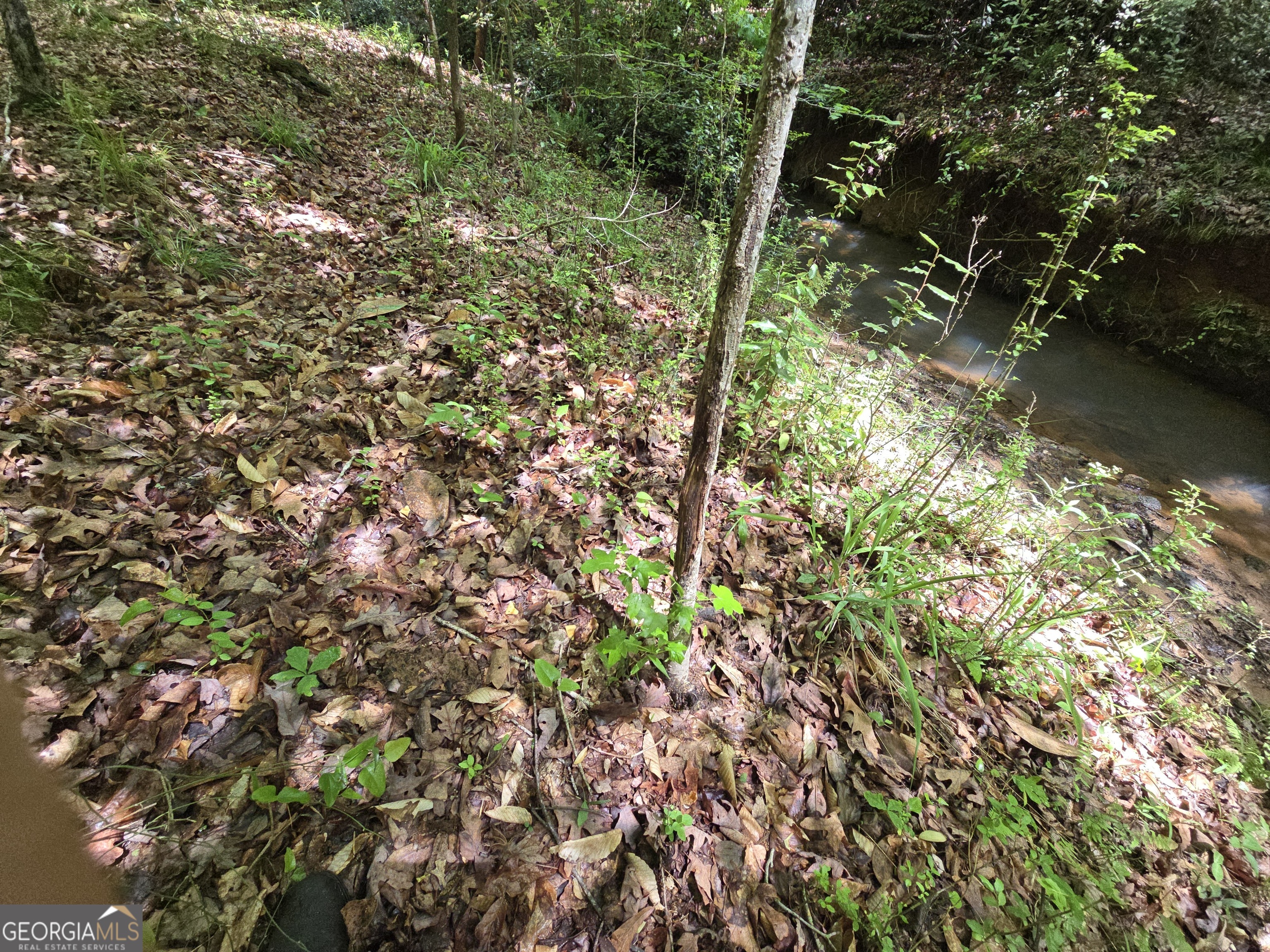 0 Davis Lake Road Thomaston, GA 30286 - Photo 24 of 37 a backyard of a house with lots of green space and lake view