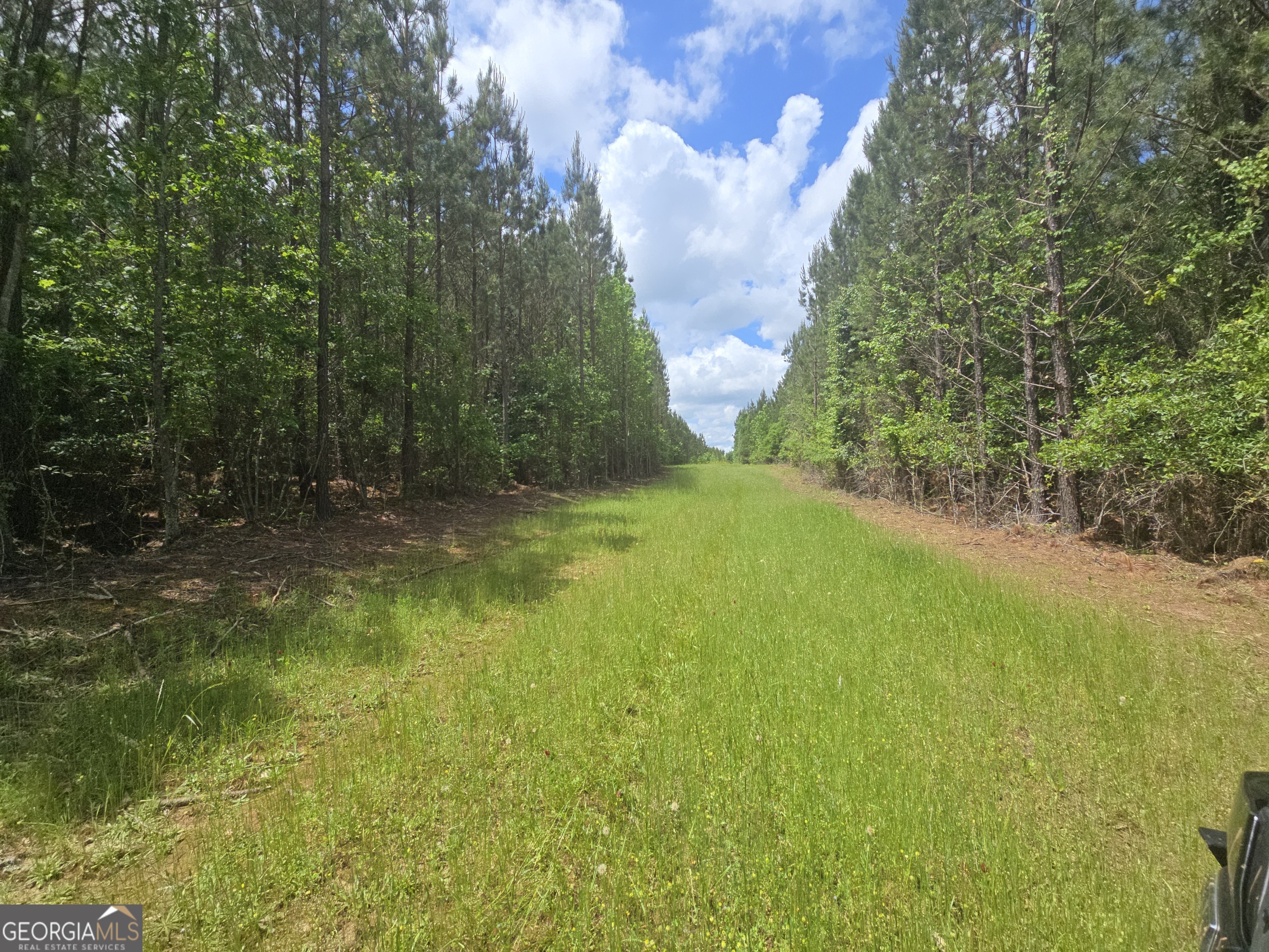 0 Davis Lake Road Thomaston, GA 30286 - Photo 25 of 37 a view of yard with green space