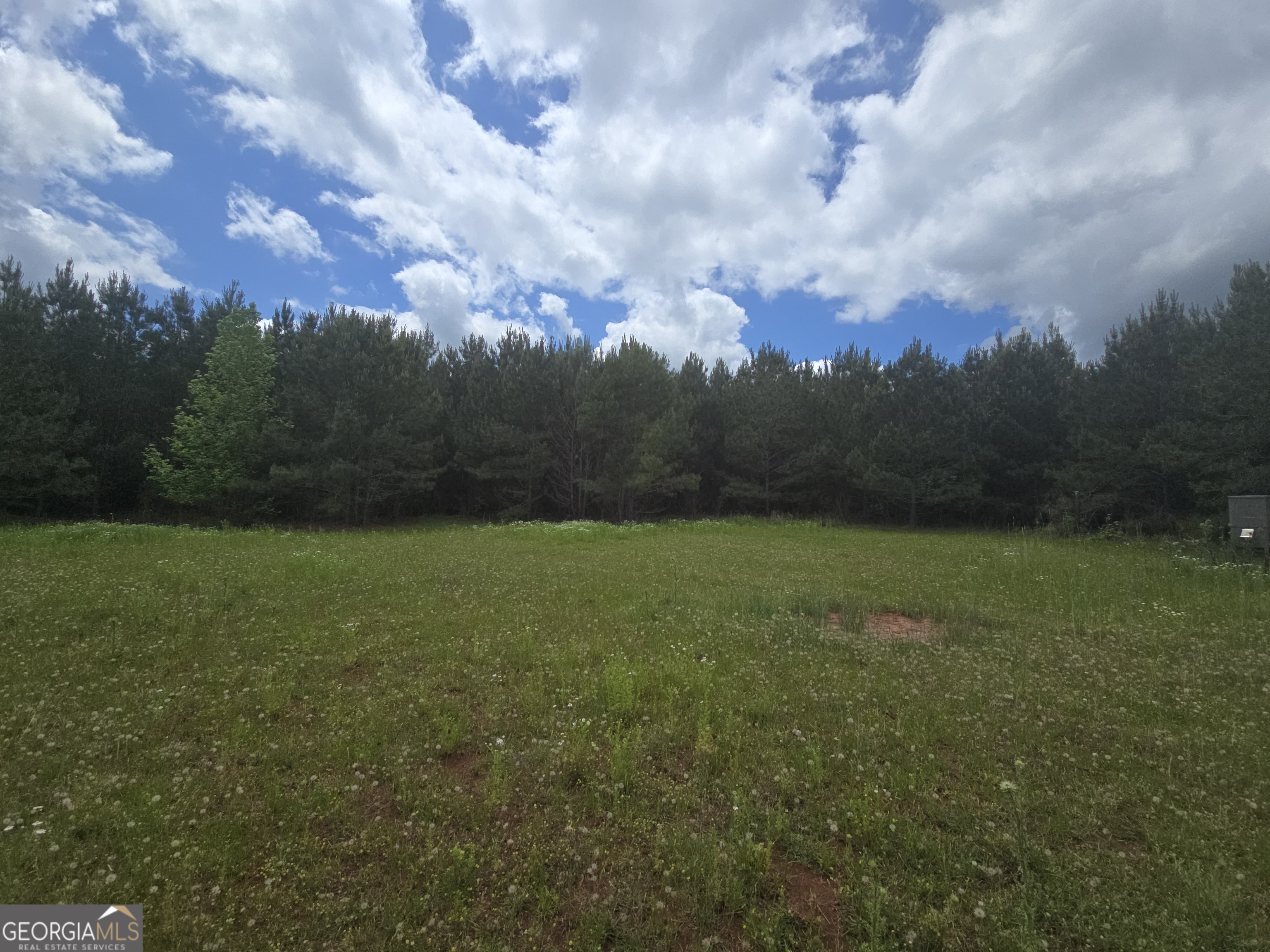 0 Davis Lake Road Thomaston, GA 30286 - Photo 29 of 37 a view of outdoor space and green space