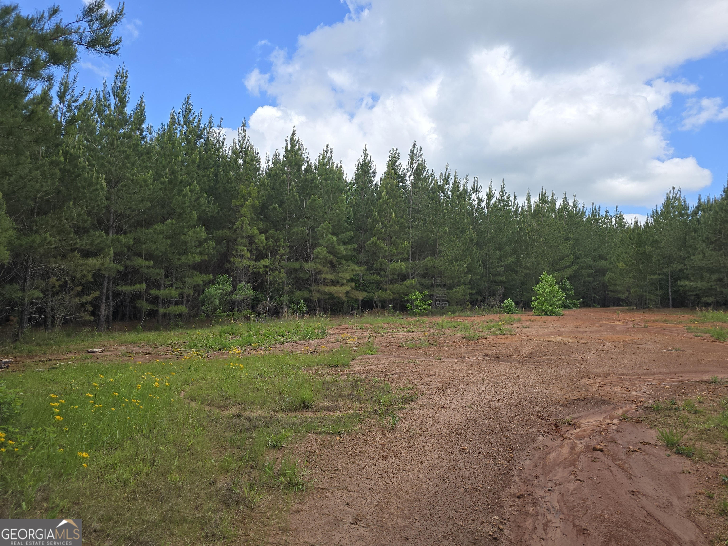 0 Davis Lake Road Thomaston, GA 30286 - Photo 6 of 37 a view of outdoor space with city view