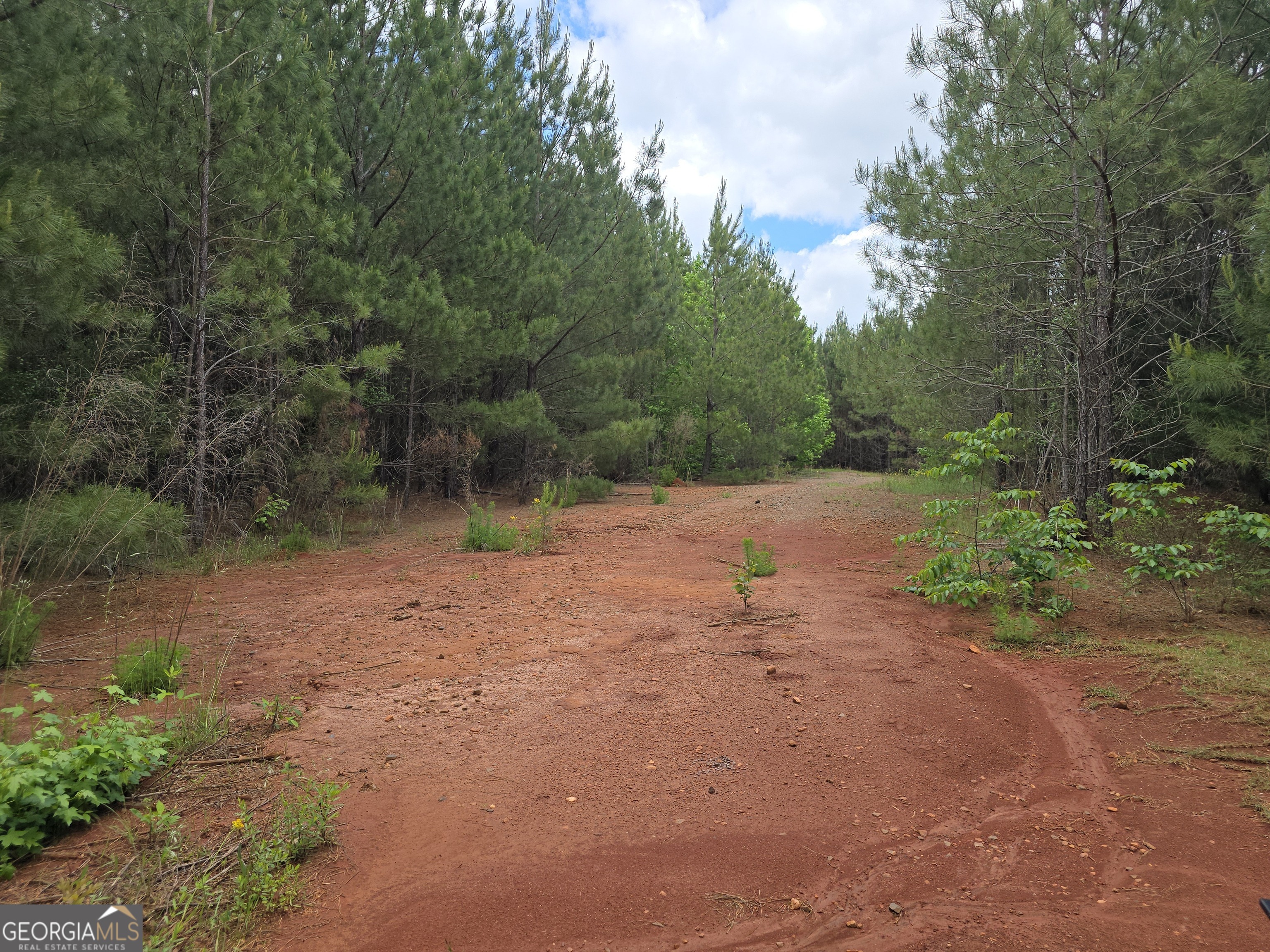 0 Davis Lake Road Thomaston, GA 30286 - Photo 7 of 37 a view of a dirt road with trees in the background