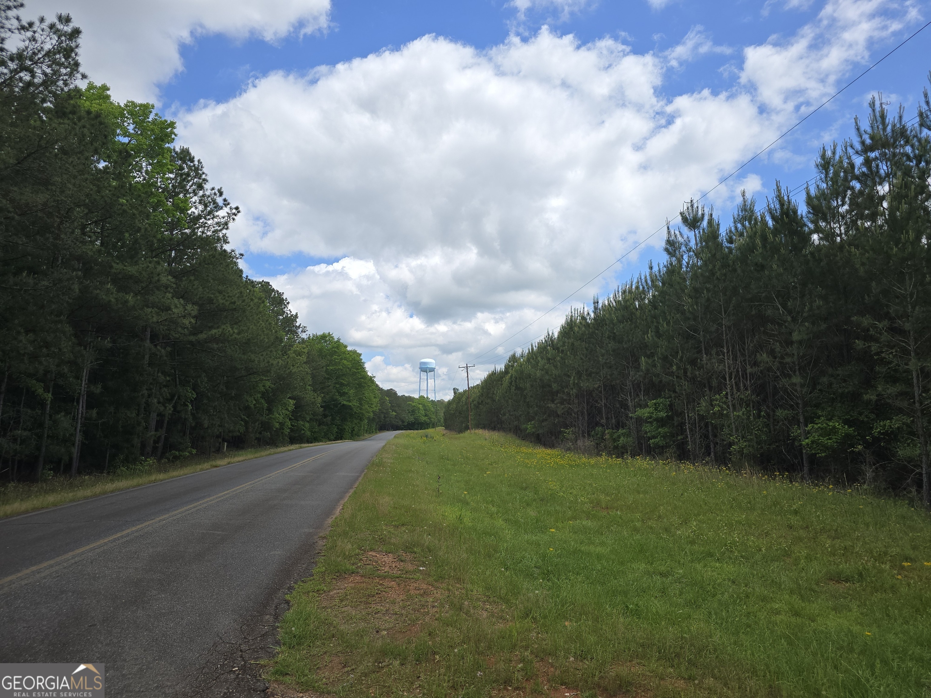 0 Davis Lake Road Thomaston, GA 30286 - Photo 8 of 37 a view of a city street from a building