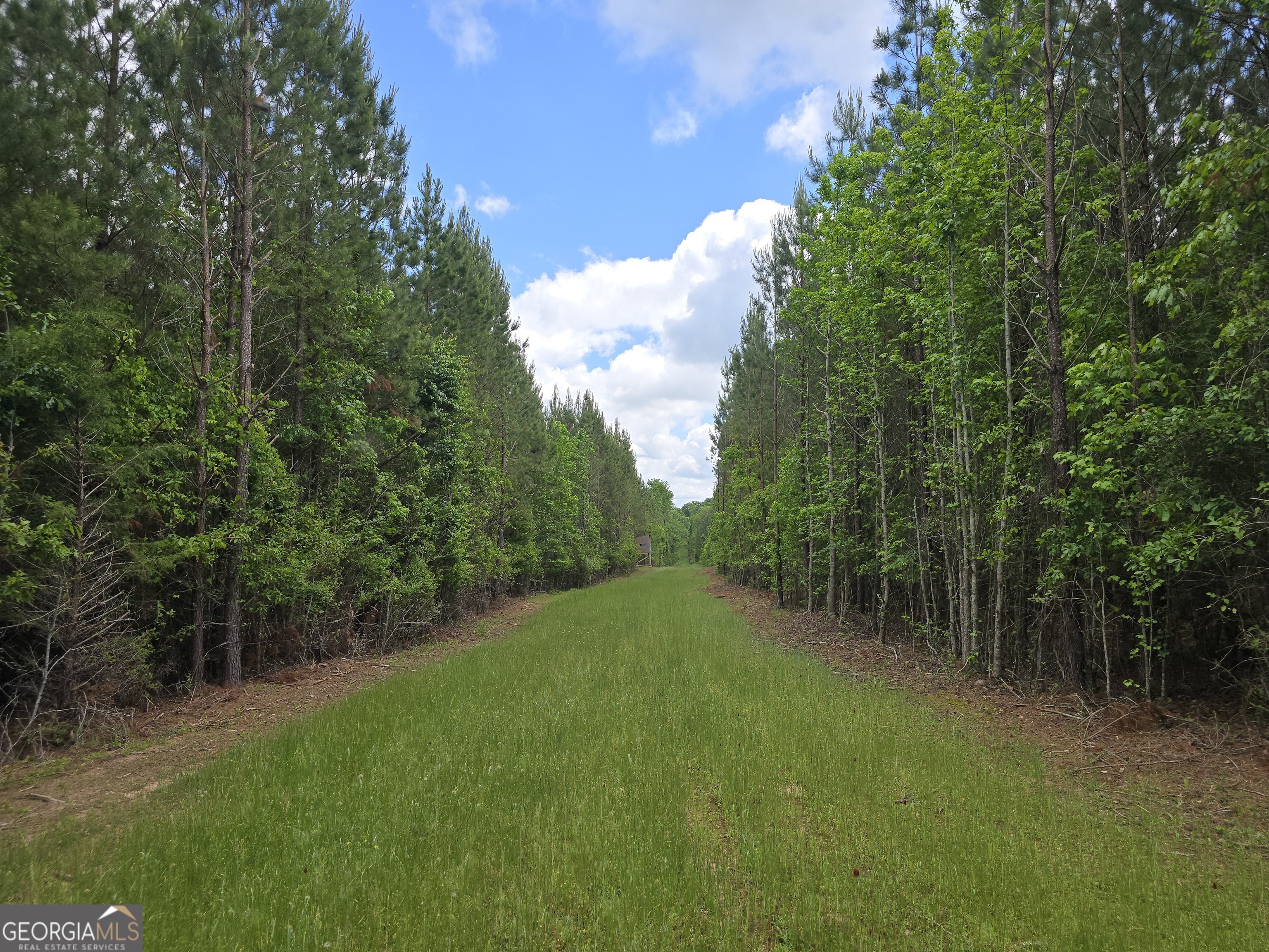 0 Davis Lake Road Thomaston, GA 30286 - Photo 10 of 37 a view of a trees with a yard