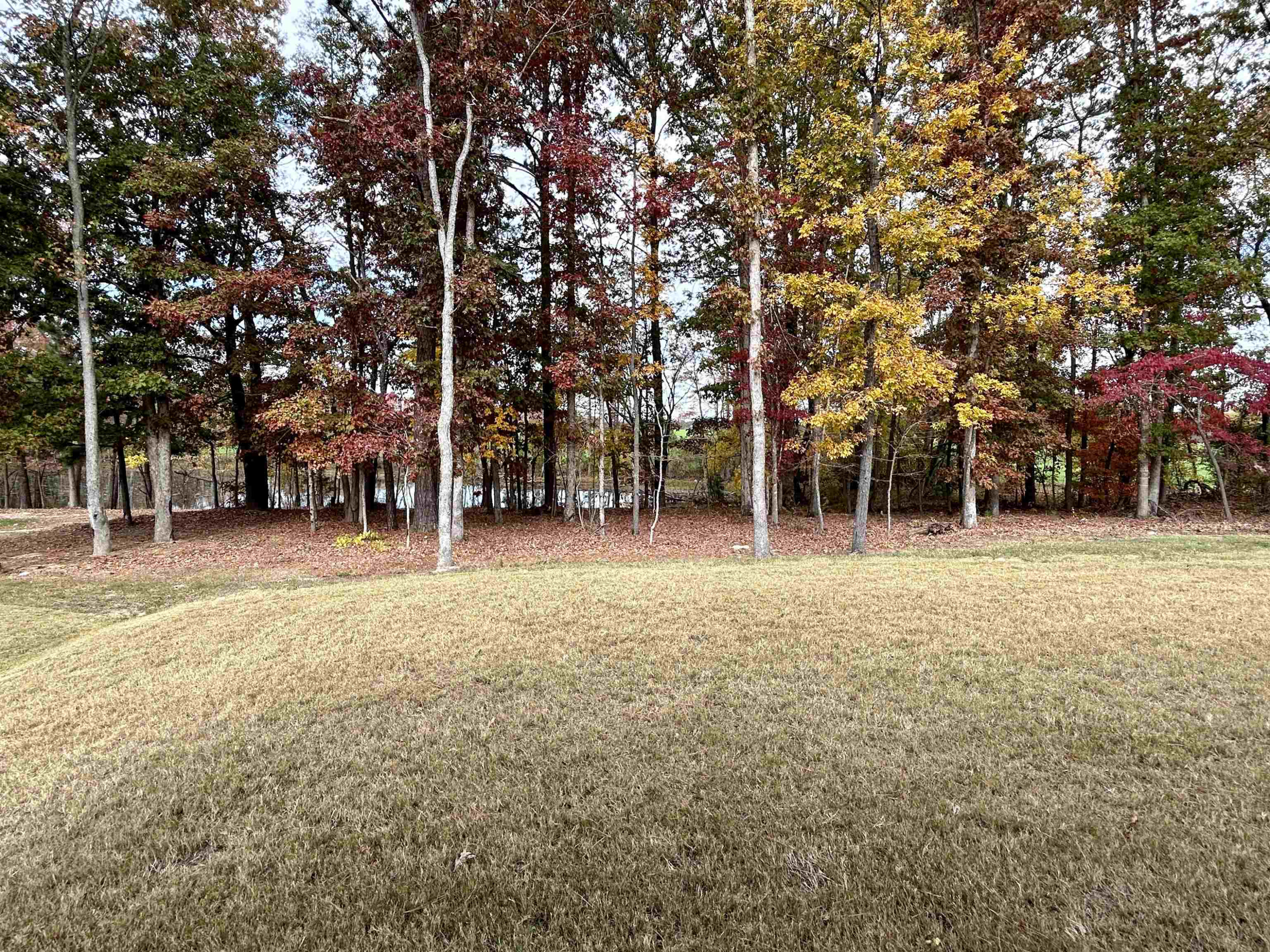 208 Kavanaugh Road Wake Forest, NC 27587 - Photo 22 of 23 a view of outdoor space with trees