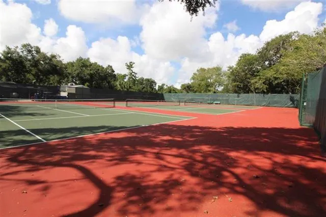 a view of a house with a yard and large tree