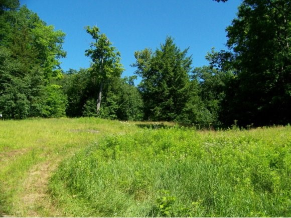 582 East Dover Road Wardsboro, VT 05355 - Photo 1 of 1