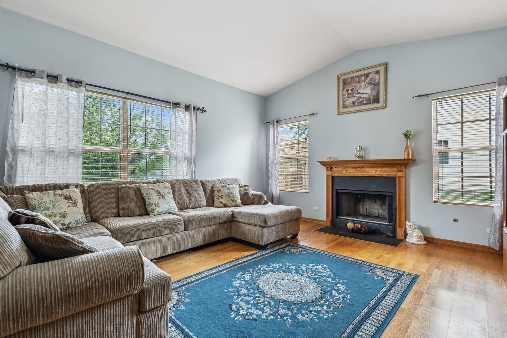 238 Ironbark Way Bolingbrook, IL 60440 - Photo 5 of 21 a living room with furniture and a fireplace