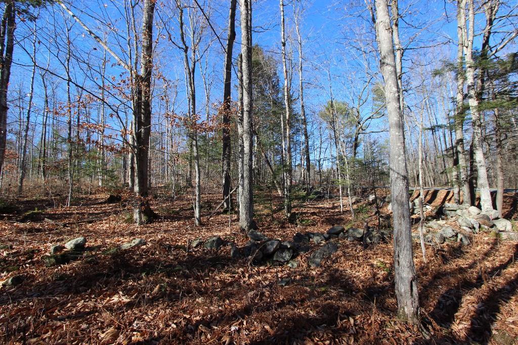 0 Bradford Road Turner, ME 04282 - Photo 11 of 15 Photo