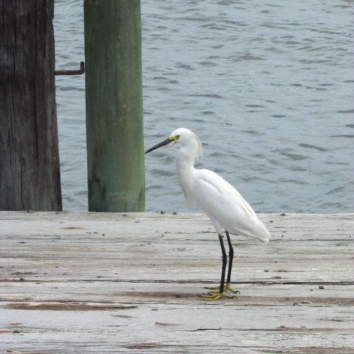 0 East Side Road Chincoteague Island, VA 23336 - Photo 2 of 4
