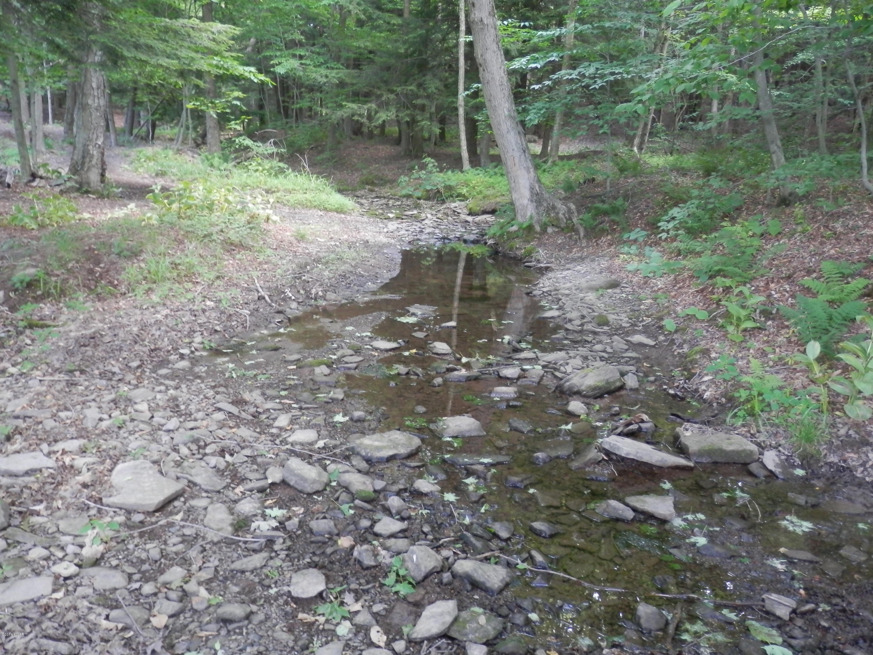 920 Ravnikar Road Forest City, PA 18421 - Photo 35 of 37 SEASONAL BROOK 2