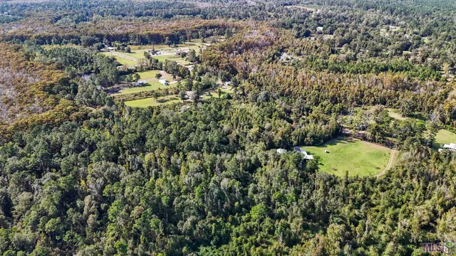 $45,000 | 29814 Lower Rome Road, Springfield, LA 70462