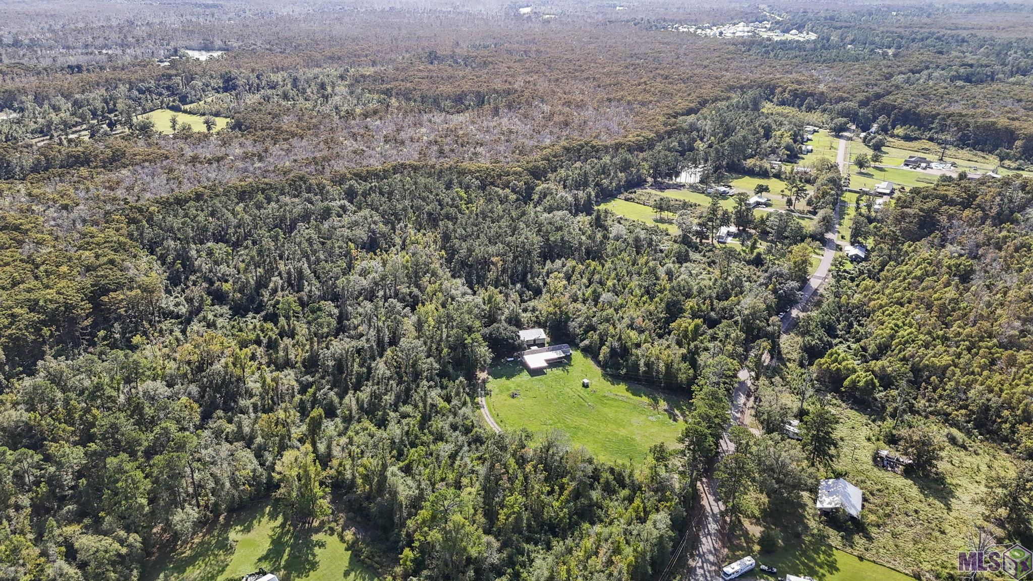 29814 Lower Rome Road Springfield, LA 70462 - Photo 5 of 13