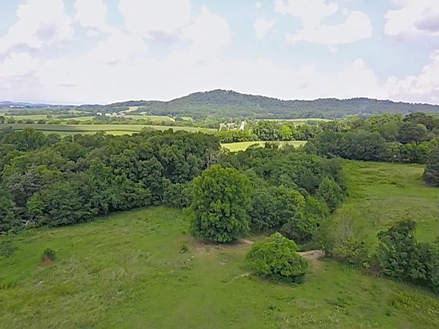 0 Cecil Lockhart Road, Unit 2 New Market, TN 37820 - Photo 6 of 19 6