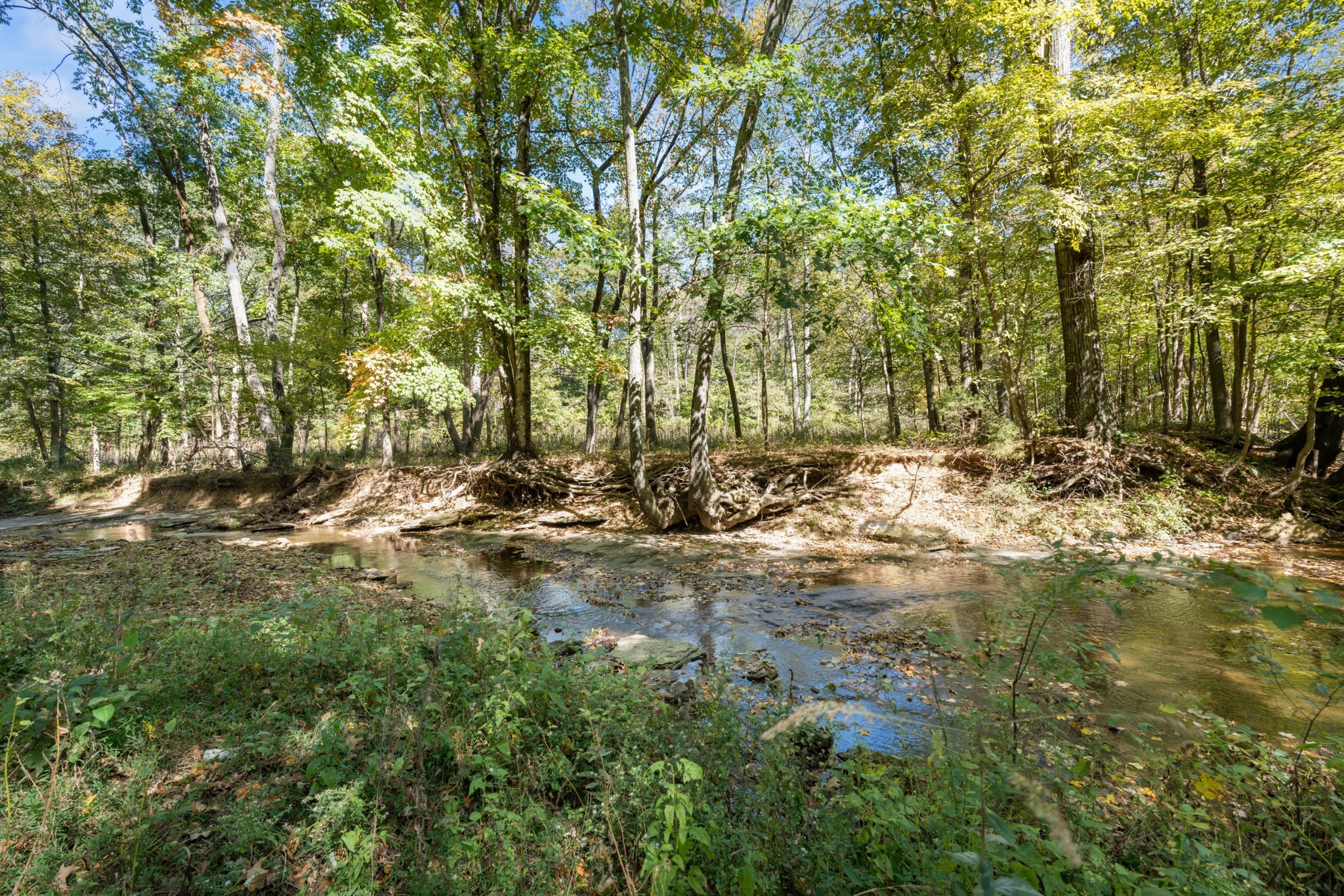 1036 Kaity Brooke Road Portland, TN 37148 - Photo 34 of 38 Gallery Image 34