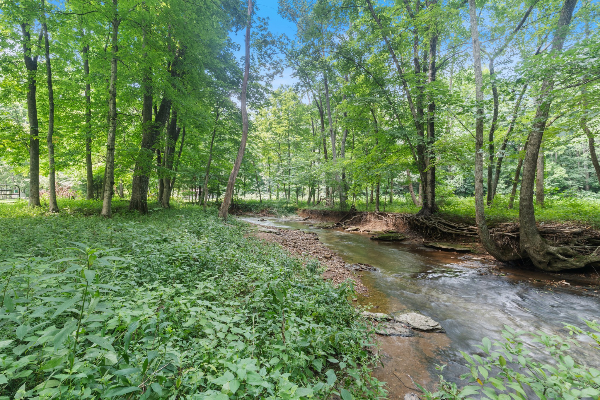 1036 Kaity Brooke Road Portland, TN 37148 - Photo 36 of 38 Gallery Image 36
