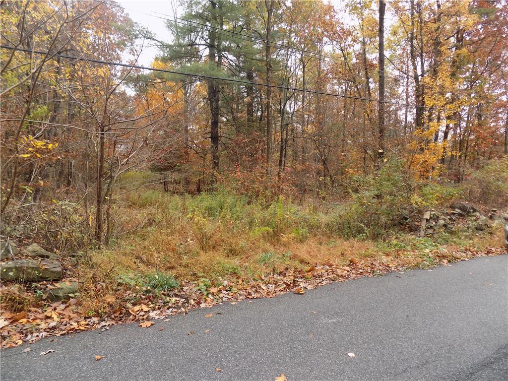 68 Decker Road Wallkill, NY 12589 - Photo 1 of 1 a view of a yard with trees