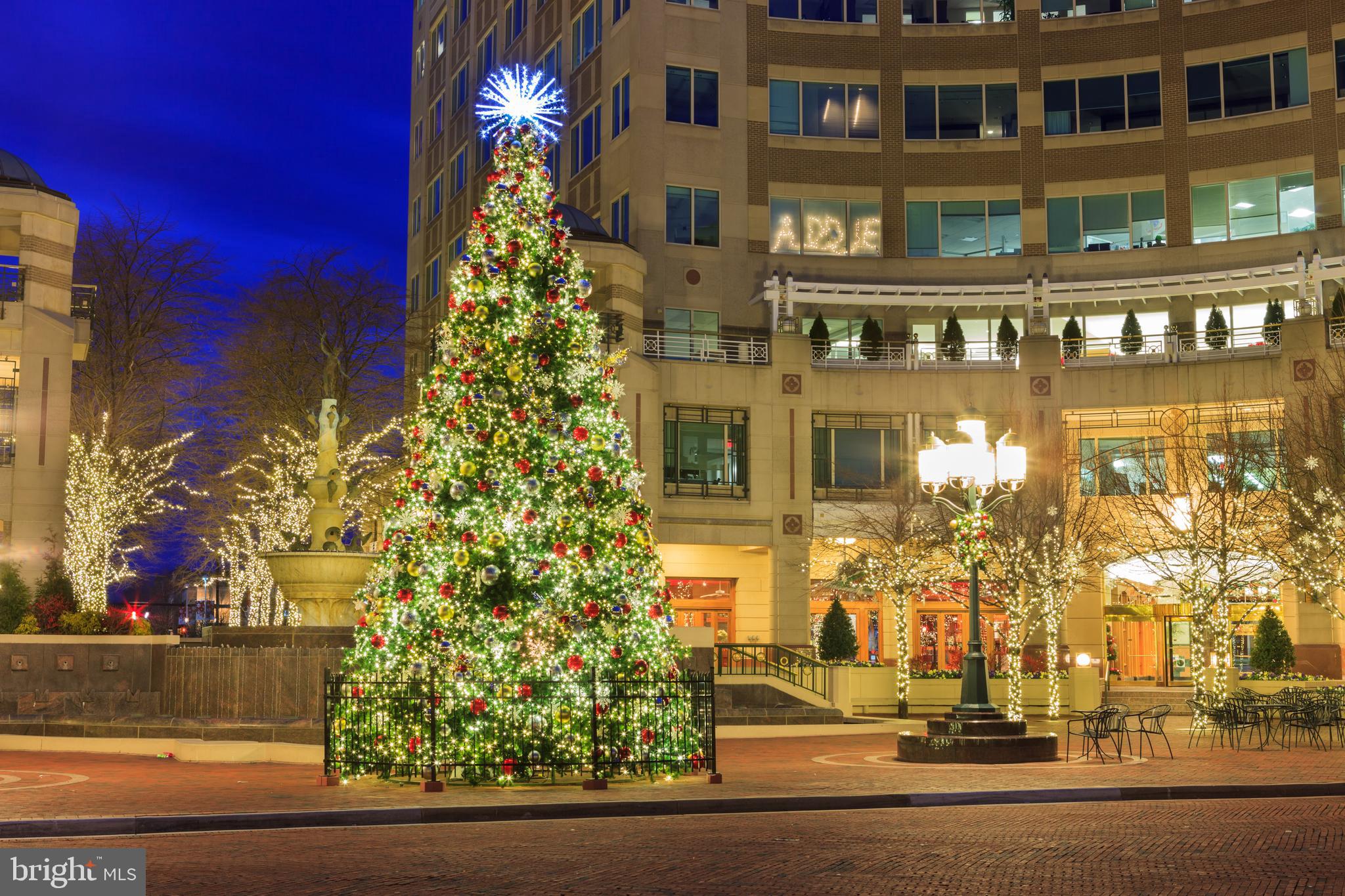 1389 Northgate Square Reston, VA 20190 - Photo 29 of 33 Reston Town Center