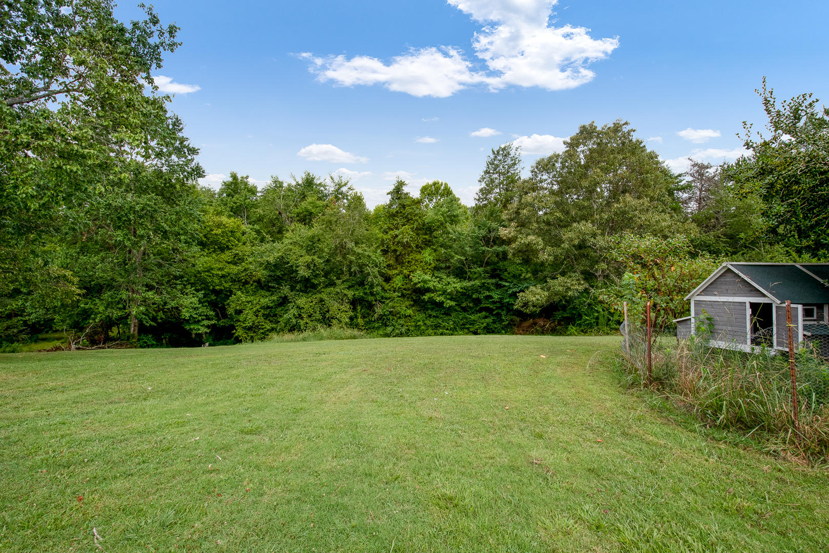 4435 Pea Ridge Road Maryville, TN 37804 - Photo 22 of 32 DSC_5539-Edit