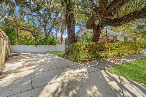 a view of a yard with plants and trees