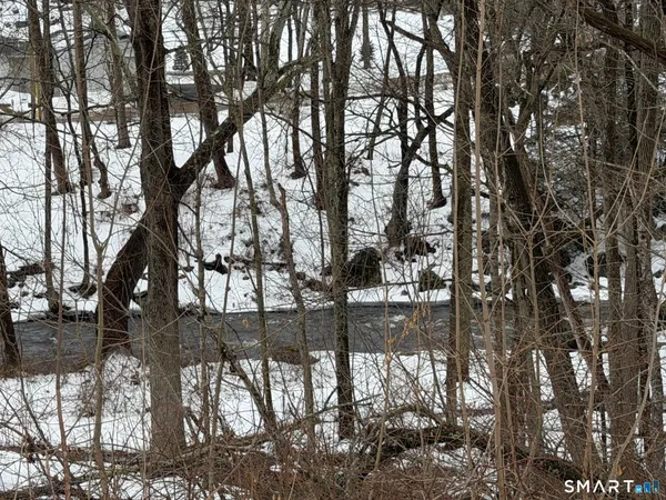a view of yard with large trees