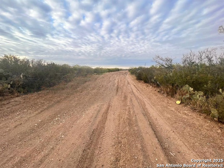 17 Las Pilas Road Laredo, TX 78043 - Photo 7 of 11