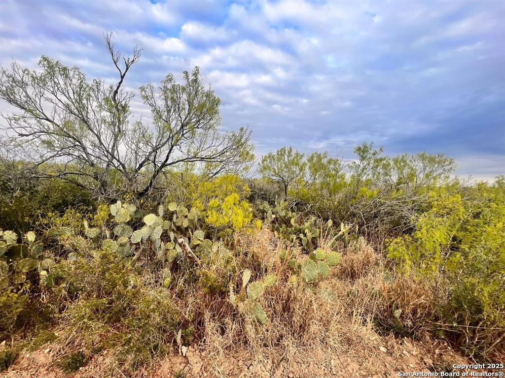 17 Las Pilas Road Laredo, TX 78043 - Photo 8 of 11