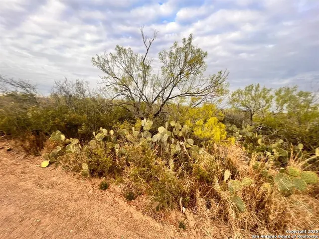 $30,000 | 17 Las Pilas Road, Laredo, TX 78043